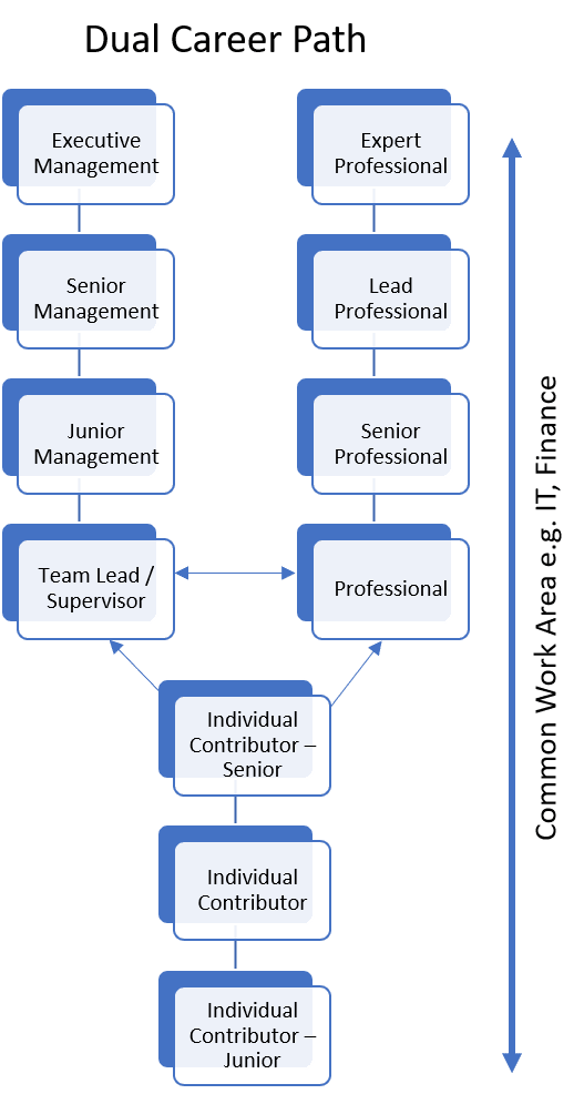 Career path meaning